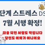 3단계 스트레스 DSR
